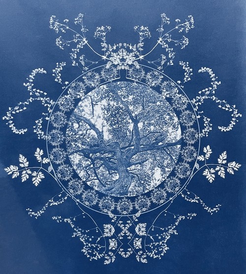 arbre_remarquable _bonzai